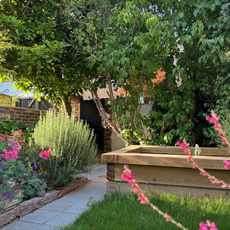 Garden gallery image 21