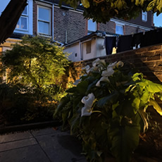 Garden gallery image 23